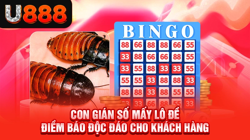 Con Gián Số Mấy Lô Đề - Điềm Báo Độc Đáo Cho Khách Hàng